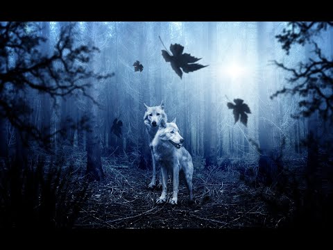 Skyplanet - The Wolf