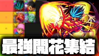【ドラクエタクト】バランの才能開花が決定!露骨に強くしていて笑う【ゲーム実況】