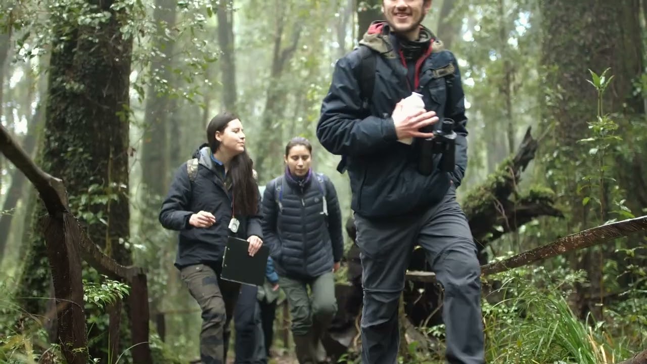 VISITA LA PAGINA COPANEO  thumbnail