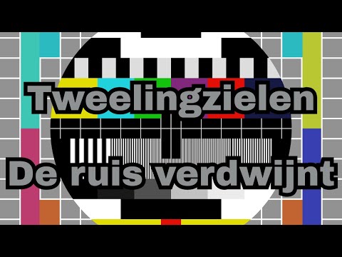 Tweelingzielen: De ruis verdwijnt
