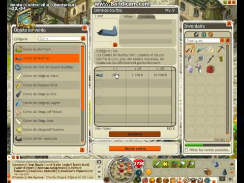comment on se parcho dofus