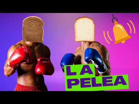 Cuál es MEJOR, PAN BLANCO vs INTEGRAL 🥊