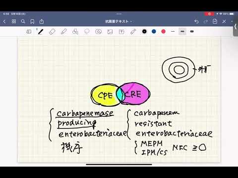 看護学科 CREとCPEの違いを7分で解説！