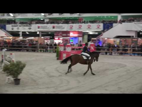 14yo Cavalino and Susan Fitzpatrick 2* World Ranking Grand Prix in Dijon (3rd place)