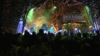 Pinegrove - Visiting - Pickathon 2017