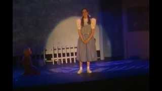 CERCA DEL ARCO IRIS DEL MAGO DE OZ