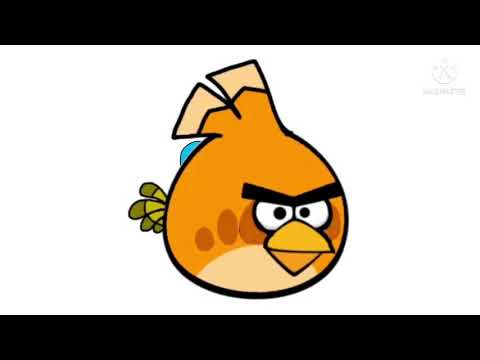 Brown Robin bird and orange angry Bird part 11