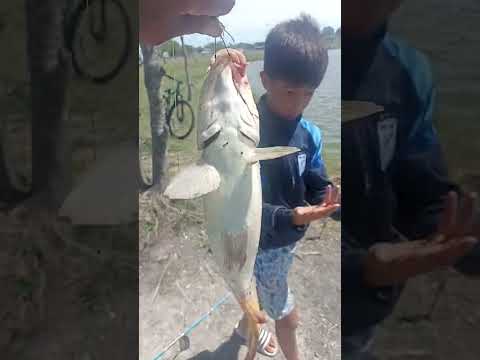 Laguna magdalena (provincia de Buenos Aires) pasando la tarde