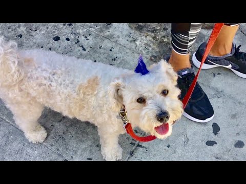 TDW 1824 - Wandering Thru Downtown Los Angeles