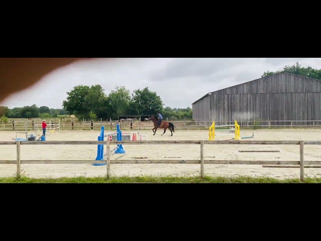 Hongre sympa , 6 ans par balou du rouet 