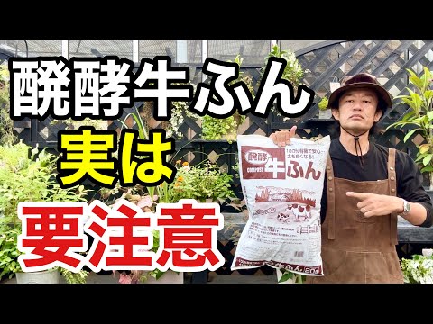 急いで知っておくべき堆肥に入れてはいけない14のこと  庭園