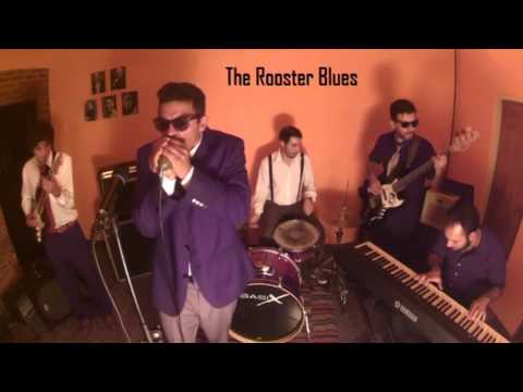 The Rooster Blues - You Don´t Have To Go - House Session