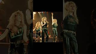 Small tribute to the great band Whitesnake.