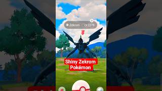 Finally got it in a shiny! #zekrom #shinypokemon #shinyhunting #pokemongo #pokemon #pokemonchannel