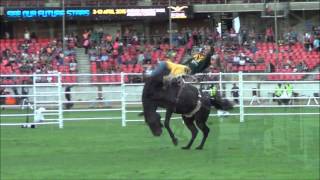 Sydney Royal Easter Show Bareback &amp; Saddle Bronc