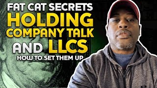 FAT CAT SECRETS Holding Company and LLC TALK you should organize an LLC How to do it in your STATE