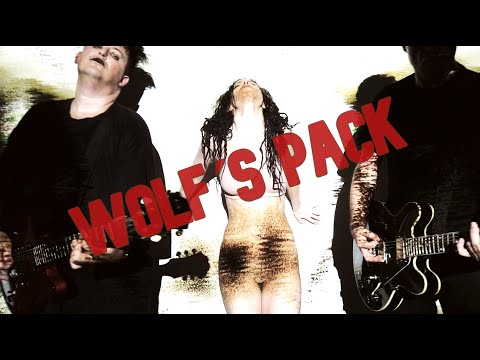 Projekt203 - Wolf´s Pack