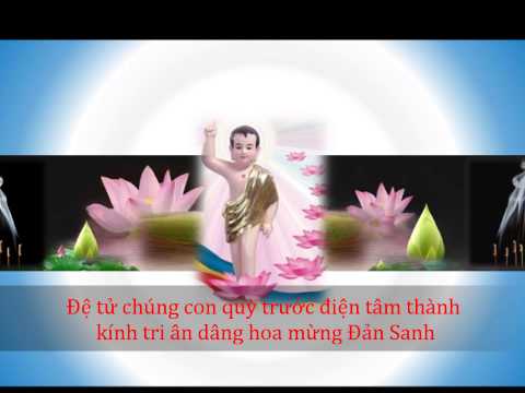 Dâng hương hoa - Bảo Yến