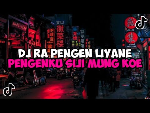 DJ RA PENGEN LIYANE PENGENKU SIJI MUNG KOE JEDAG JEDUG MENGKANE VIRAL TIKTOK DJ DUMES PANI FVNKY