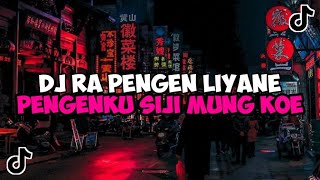 Download lagu DJ RA PENGEN LIYANE PENGENKU SIJI MUNG KOE JEDAG JEDUG MENGKANE VIRAL TIKTOK DJ DUMES PANI FVNKY mp3