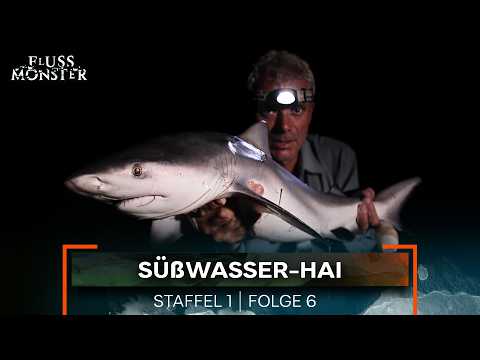Der Fluss-Hai: Unsichtbare Bedrohung | Fluss Monster Staffel 1 Folge 6