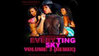 NOTNICESOUNDS&KILLAVYBZENT: EVERYTINGSKY VOL3**