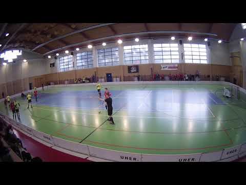 Panthers Praha - Viking TJ Kobylisy (9:1), 1. liga dorostenců 2018/19, 27.1.2019, Praha - Čakovice