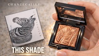 Chantecaille Zebra Luminescent Eye Shadow… THIS Shade 😮