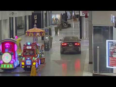 Ladri attraversano il centro commerciale in auto