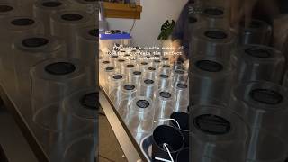 Download lagu My Favorite Candle Formula #candlemaking #candlebusiness mp3 Download lagu My Favorite Candle Formula #candlemaking #candlebusiness mp3