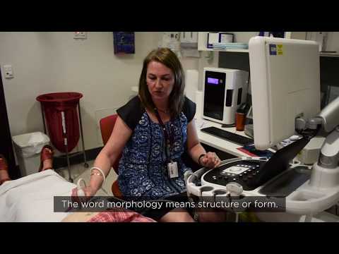 The Royal Women's Hospital: Pregnancy Appointments Part 2 - 20 Week Visit