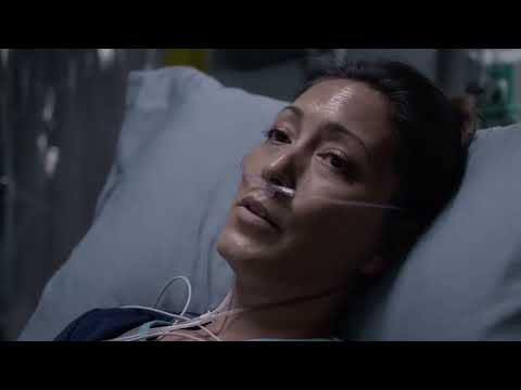 dr. audrey lim // you'd never know