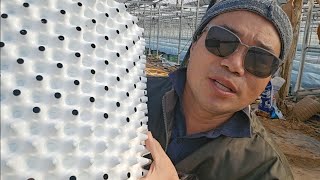 에어포트 무화과상자로 적합성 연구 figs