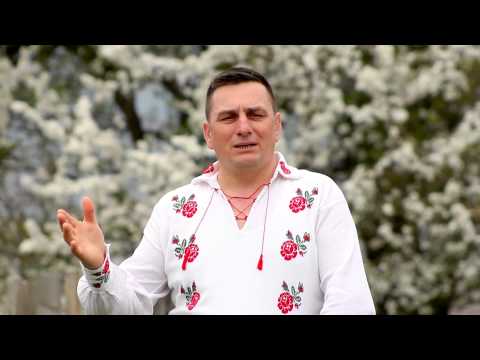 Formatia Argument  Din Brasov - In viata cand pleci de jos - HD - ( LIVE )