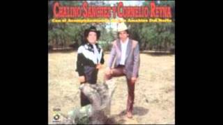 RODOLFO GARZA CORNELIO REYNA Y CHALINO SANCHEZ