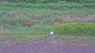 横山橋映像監視局