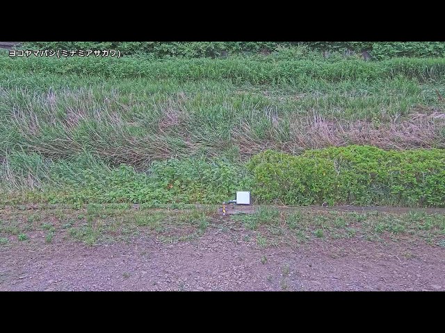 横山橋映像監視局