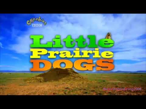 Little Prairie Dogs - Intro (2010)