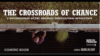 Download lagu The Crossroads of Chance | Trailer | 25th Anniversary Olive Groves mp3