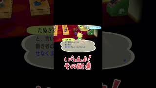 お家が最大になったってことは…？【街へいこうよどうぶつの森】