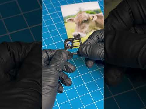 This watch has a major flaw #casiomods #royale #casio #watches #nostalgia #ae1200