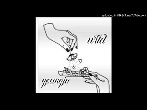 Wild youngin -This ain't your fault Official Audio