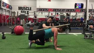 Quadruped Hip Extension with Dowel