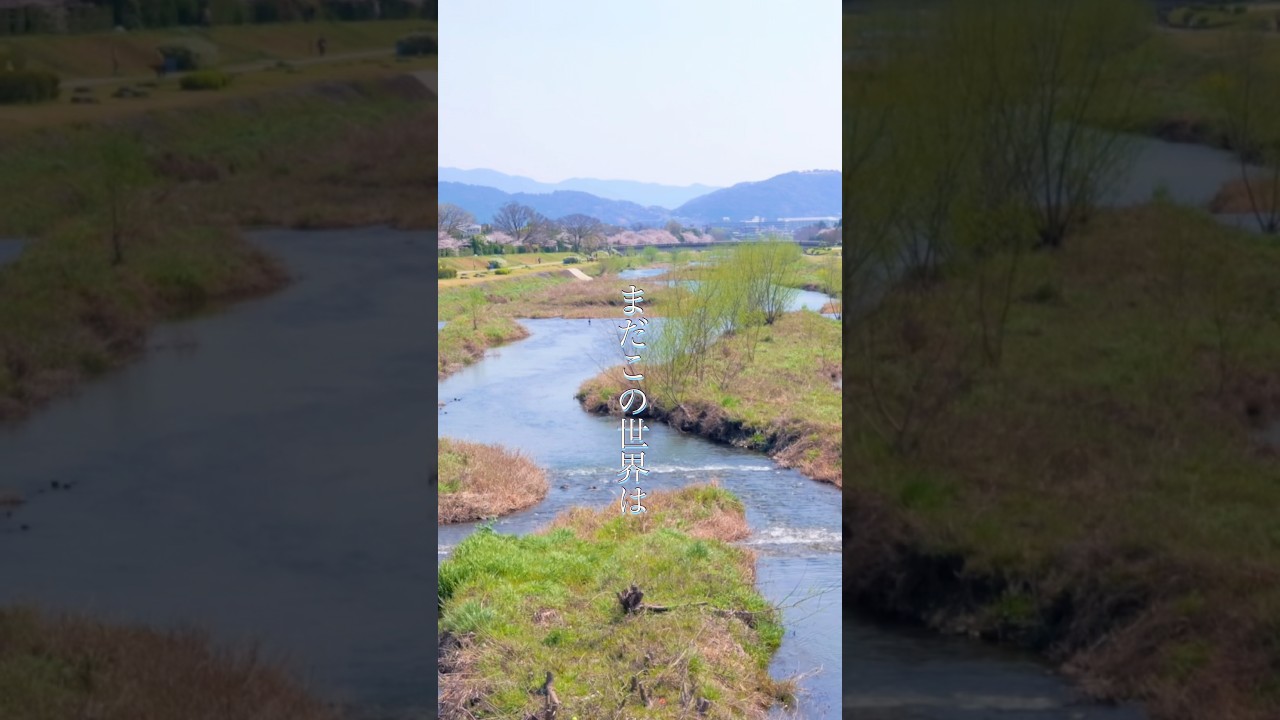 『こんな世界が描きたいな』