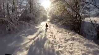 preview picture of video 'Border collie - winter walk (GoPro HERO 3+) 2015'