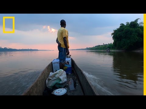 60 segundos de VIDA, alrededor del Río Congo. | National Geographic en Español