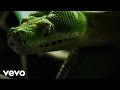 A Place To Bury Strangers - Supermaster ...