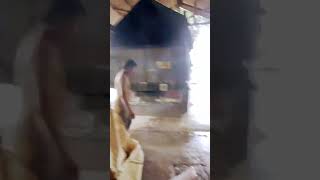 Download lagu Katul super #katul #bekatul #huut #dedak mp3 Download lagu Katul super #katul #bekatul #huut #dedak mp3