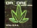Snoop Dog ft. Dr. Dre- Smoke Weed Everyday ...
