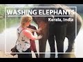 Washing Elephants In Kerala India Vanilla Sky Dreaming